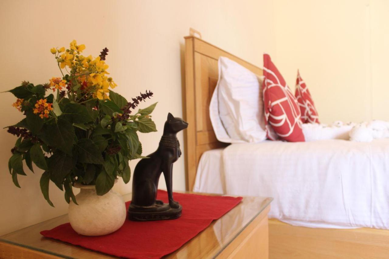 Morning Star Apartment Luksor Dış mekan fotoğraf
